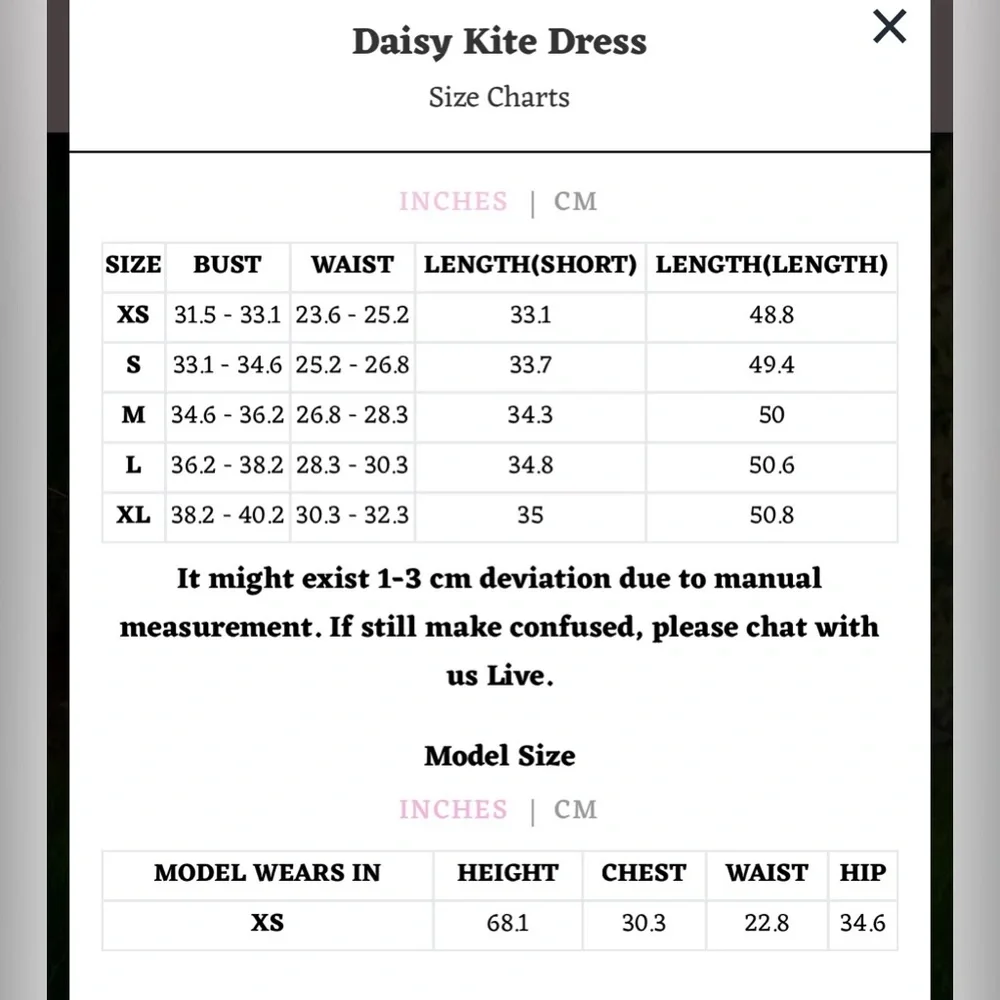 Lacemade daisy kite dress fairycore cottage kawaii fairy floral Lolita - Picture 5 of 12